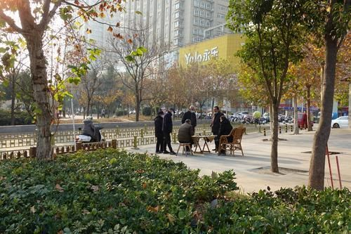 中州大道与航海路交叉口附近的居民，戴上口罩晒着太阳下着象棋，享受着久违的室外生活。