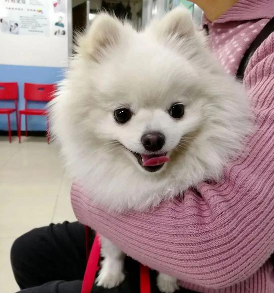  △国是直通车 陈昊星 摄