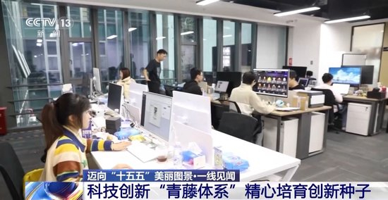 顺藤摸瓜！深圳“科创青藤成果转化服务体系”赋能硬科技转化