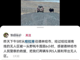 游客青海自驾被野牦牛拦路6小时，当地民警深夜驰援
