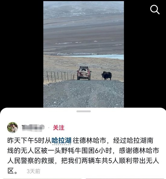  ▲游客发帖称在路上被野牦牛围困&nbsp;