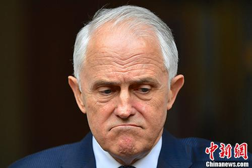 澳大利亚总理特恩布尔。（资料图）