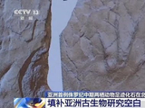 北京门头沟发现亚洲首例侏罗纪中期两栖动物足迹化石