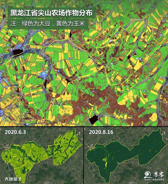 ▲上图为黑龙江省尖山农场作物分布图；下图为6月与8月作物长势监测图。