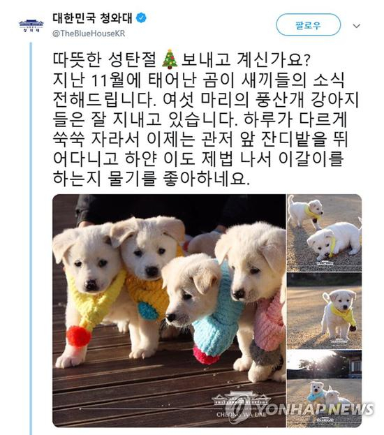 青瓦台推文截图（韩联社）