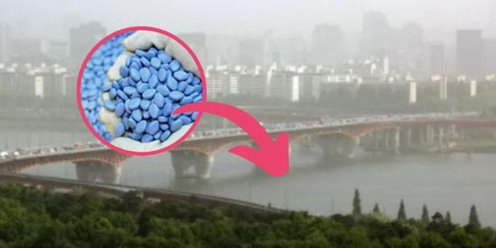 汉江里都能发现伟哥成分 韩国的夜生活有多野 手机新浪网