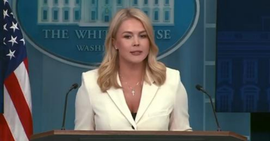 当地时间4月8日，莱维特在简报会上回答记者提问