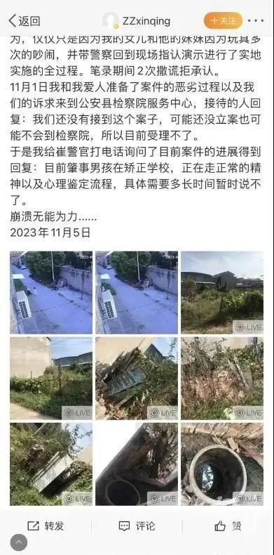 去年11月5日，网上曝出“未满12周岁男孩杀害4岁半女童”一事