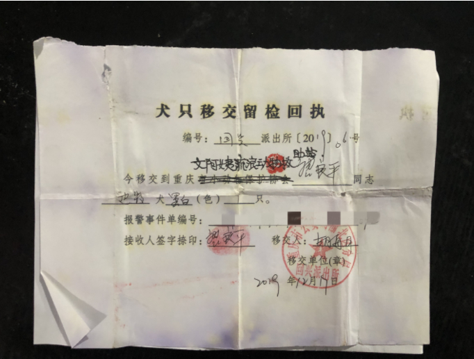 ▲派出所偶尔也会往救助站送狗。新京报记者&nbsp;王翀鹏程 摄&nbsp;