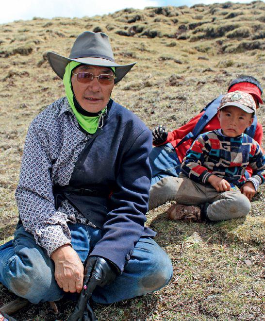 拉加老人，63岁，从100多公里外的莫云乡来到苏鲁采挖虫草。因为一些地区没有虫草，杂多县允许县内人员流动采挖：每人缴纳1200元的虫草采挖费，即可进入虫草产区。