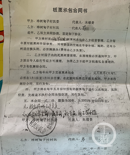  ▲马家板栗地承包合同书。摄影/上游新闻记者 沈度