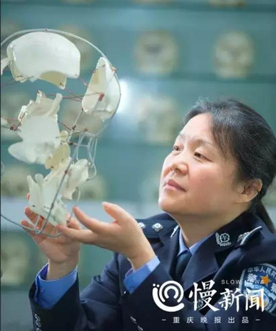 颅骨分解模型，每一个法医都能背得下来。情义是什么