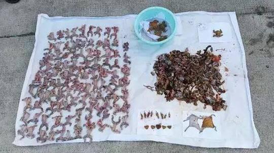 △图自浙江在线