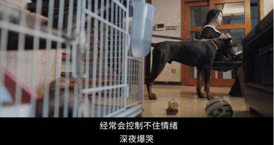 （图源：《奇遇·人间角落》节目视频）