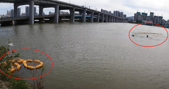韩国博主拍到的“水怪”，实际上是浮标
