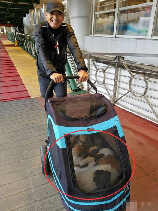 得知发哥的这些事，网友们纷纷为其点赞：德艺双馨▼