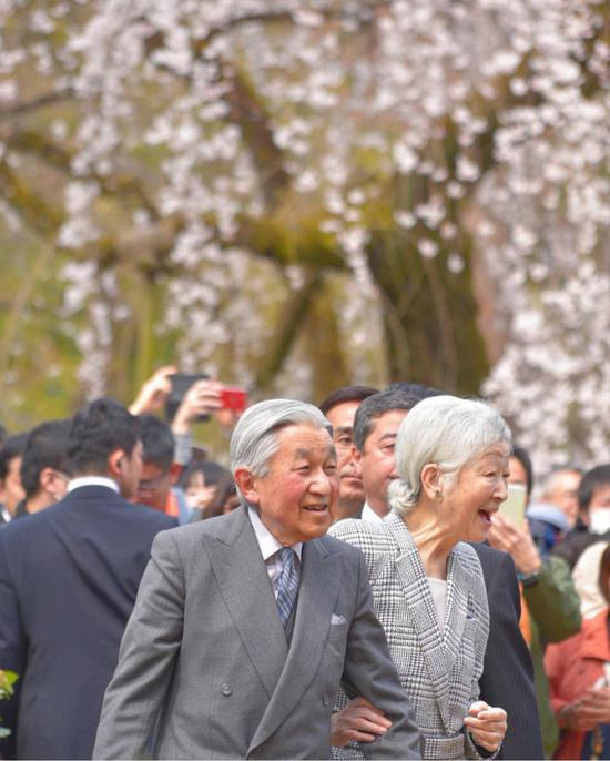 日本天皇明仁和皇后美智子来到京都御苑观赏盛放的樱花
