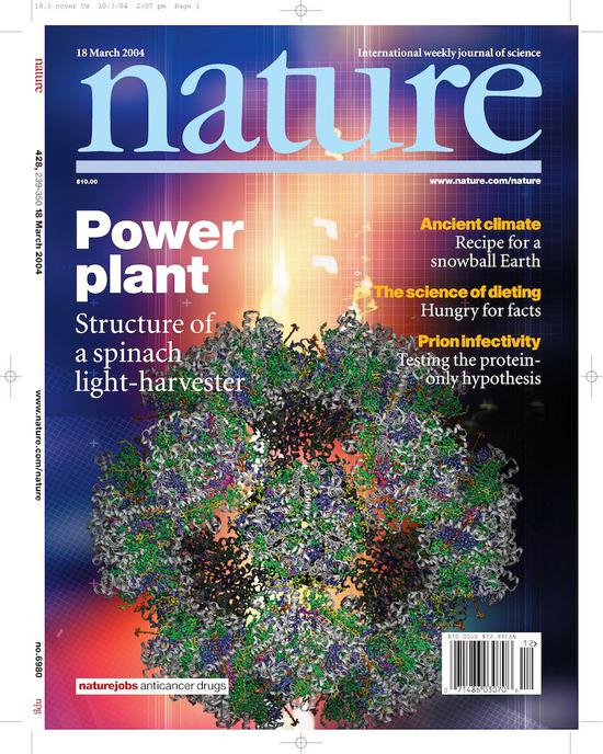 Zhenfeng Liu&nbsp;et al。&nbsp;Crystal structure of spinach major light-harvesting complex at 2.72 Å resolution。&nbsp;Nature428， 287–292 （2004）&nbsp;&nbsp;