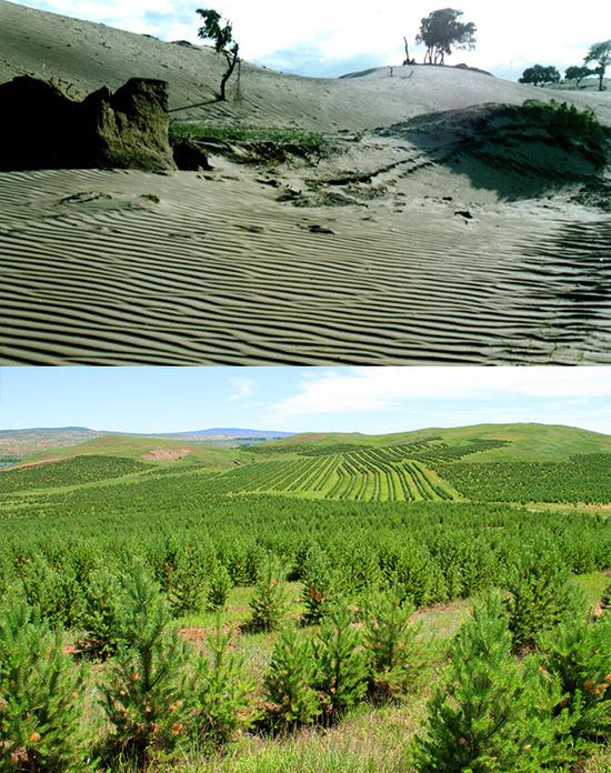 多伦县绿化情况今夕对比图。多伦县委宣传部供图