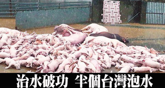 日本淹水蔡英文赖清德第一时间掏钱，台湾淹水两人却神隐。（图片来源：台湾《中时电子报》）