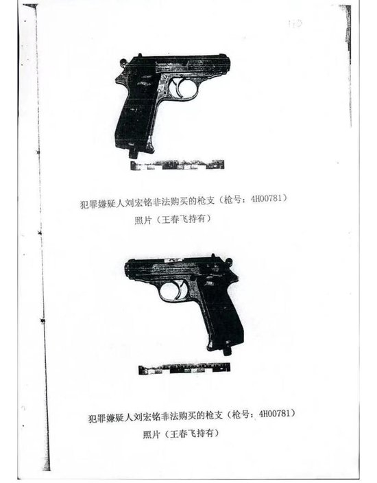 王春飞、刘宏铭的气枪资料
