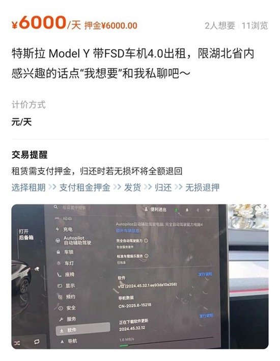  网上的fsd体验租车信息