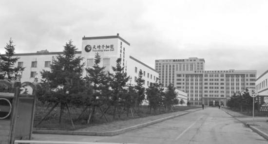 天晴股份公司大门 每经实习记者滑昂&nbsp;摄