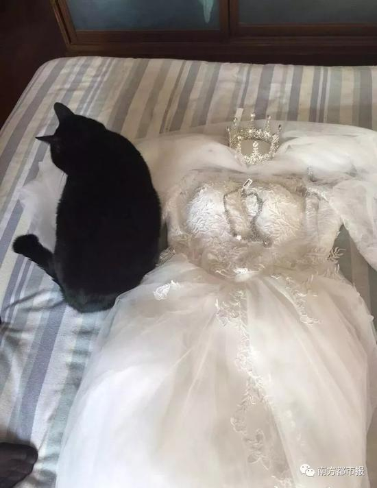 去年冬至日，杨俪萍落葬的随葬品婚纱&nbsp;死者家属供图