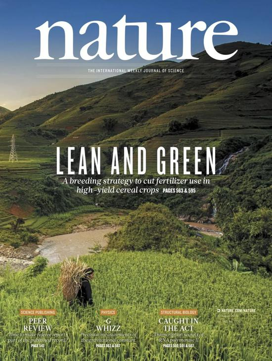 Shan Li&nbsp;et al。&nbsp;Modulating plant growth–metabolism coordination for sustainable agriculture。&nbsp;Nature&nbsp;560， 595–600 （2018）