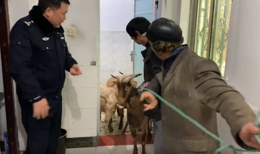  一碗羊肉汤，浓浓的警民情。