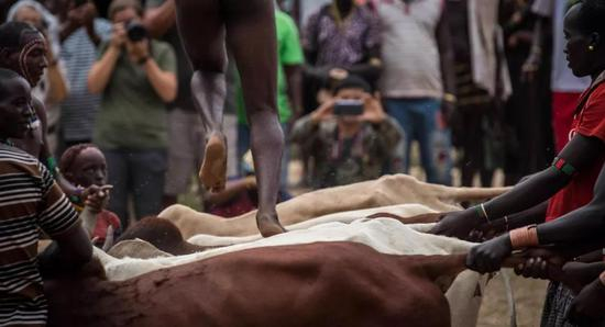 一名哈莫族男子进行“跳牛”仪式