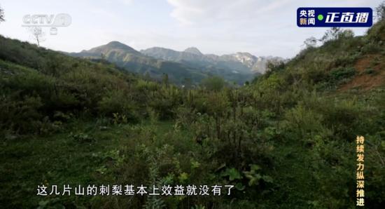 红旗村村民联名送来感谢信