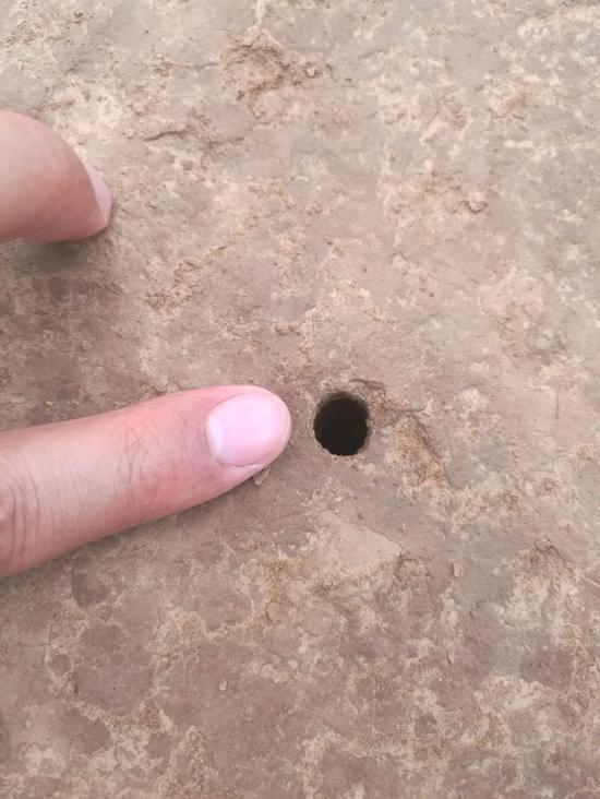  扎杆（探针）留下的小洞