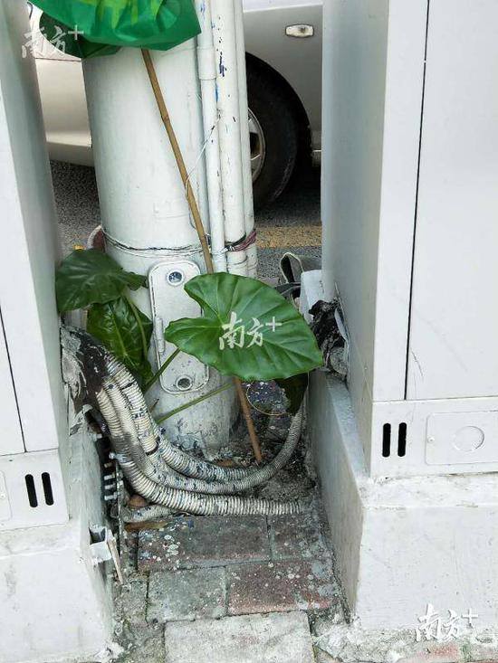  珠江新城金穗路人行道上的市政电箱。