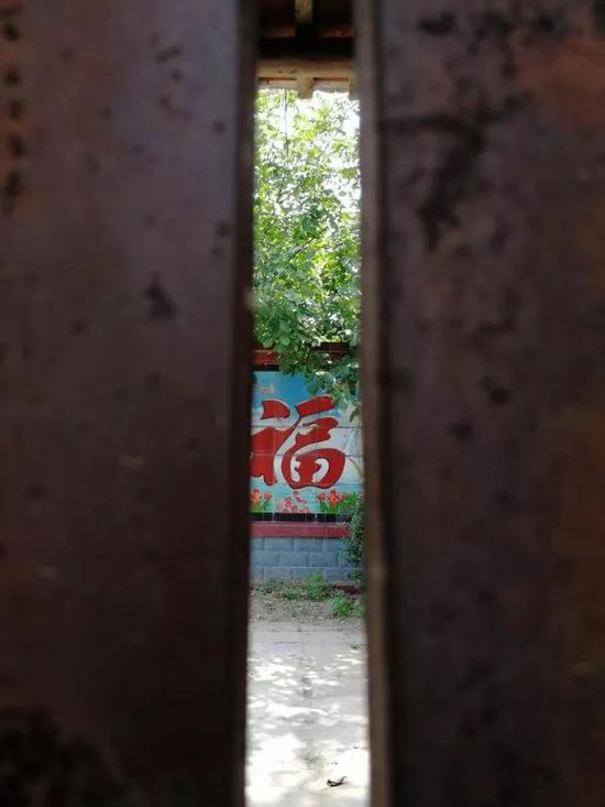 （林大成家的小院干净整洁）