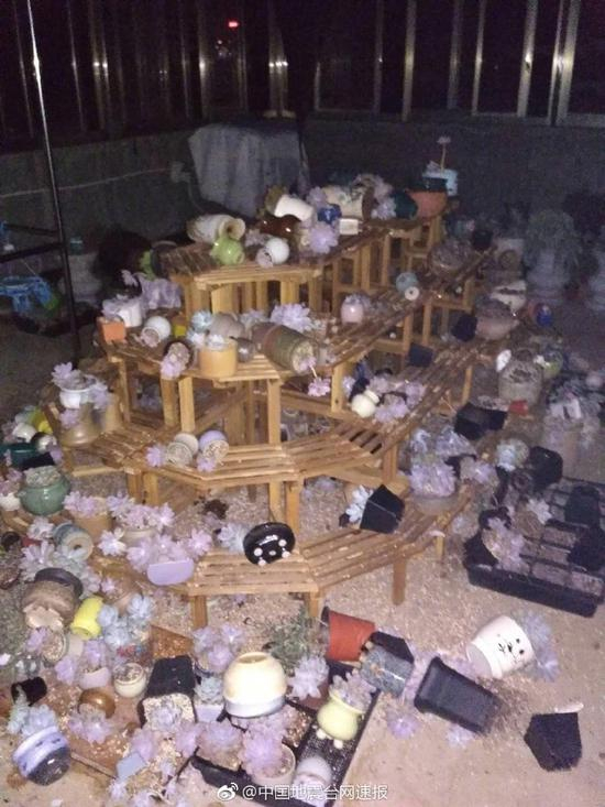 一位网友的多肉植物被震的七零八落