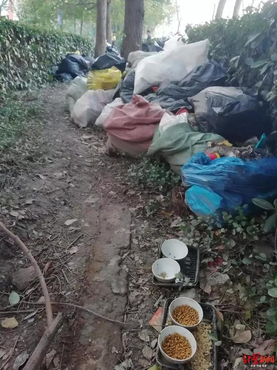 　沈巍会把捡来的食物喂给流浪猫。