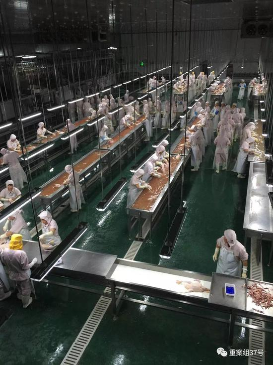 ▲中澳集团此前生产车间&nbsp;。受访者供图