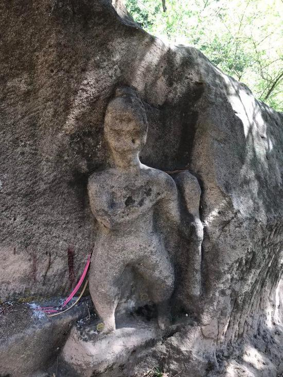 图片来源：张文举