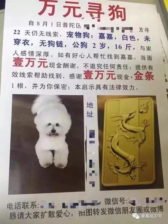  ▲印有金条照片的寻狗启事。受访者供图