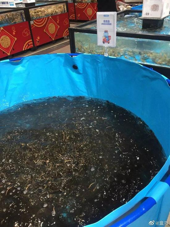 在盒马组织调集下，200斤小泥鳅送达武汉动物园。| 图源@花落成蚀