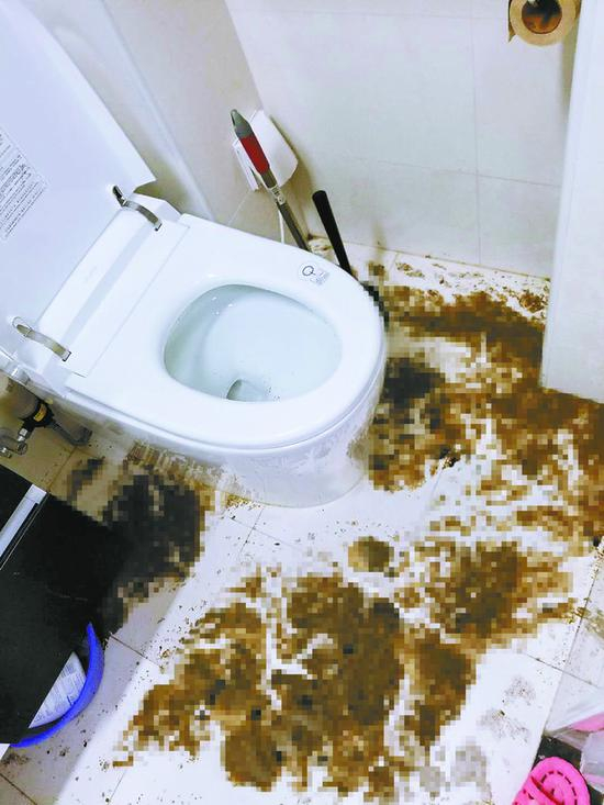 倒灌过后，杜先生家的卫生间内遍布污物。