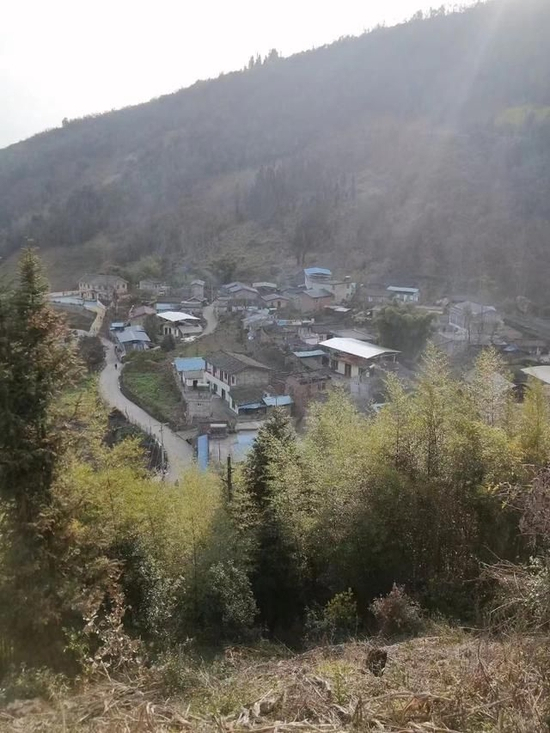 张扬娘家所在的村庄/受访者供图