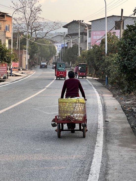 长沙镇的山路上，不时有村民载着箩筐经过。 沃佳 摄