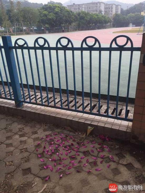 有学生在女生出事地点用紫荆花瓣拼成心形祭奠。