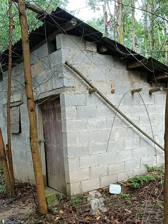  凌冬在后山盖的小屋