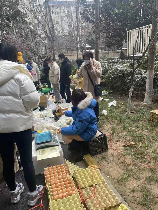 打电话询问菜价的陈医生 图片来源 | 沙一舟