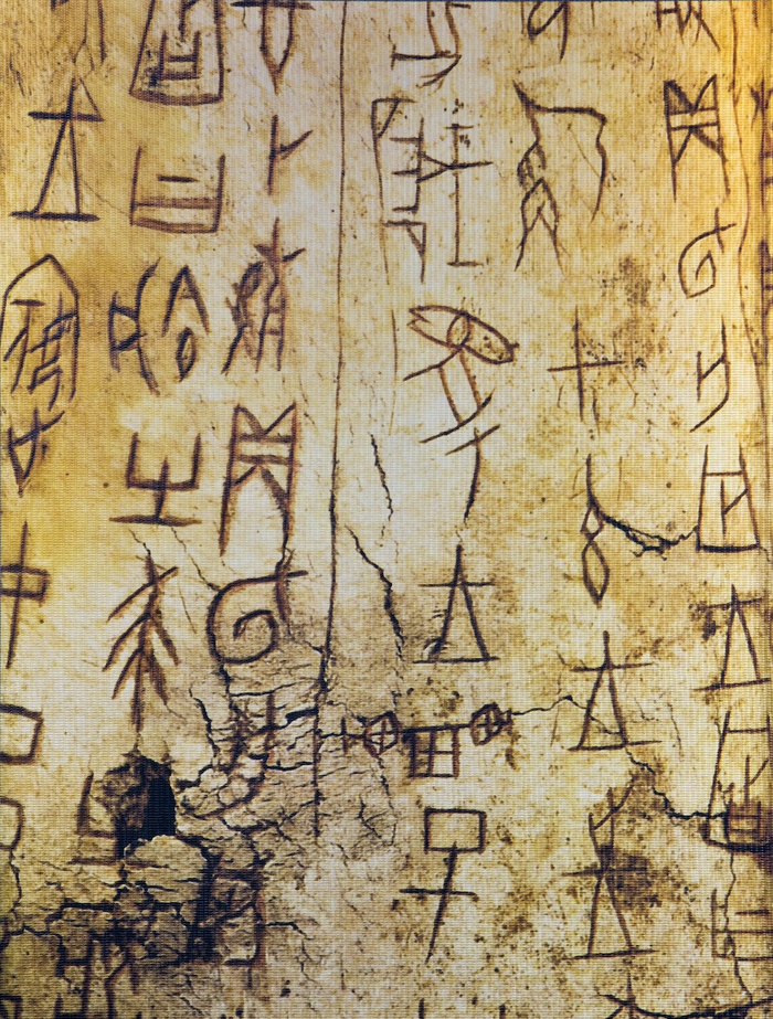 甲骨文中关于“蜀”的记载。&nbsp; &nbsp; 广西师范大学出版社 图