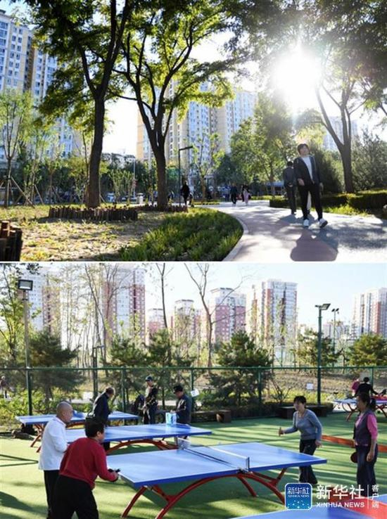 ↑拼版照片。上图：市民在嘉囿城市休闲公园里游玩。下图：市民在嘉囿城市休闲公园里打乒乓球。