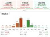 收评：科创50指数高开高走涨3.76% 半导体产业链爆发